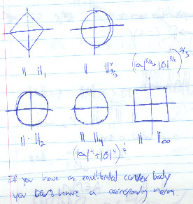 Equilibrated Convex Bodies, observed in controlled habitat.